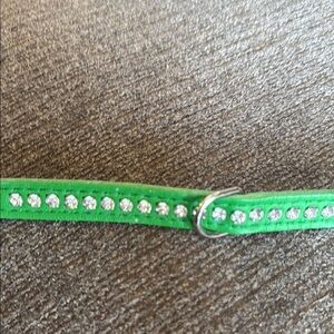 Green Studded Dog Collar, Size Small, rhinestones